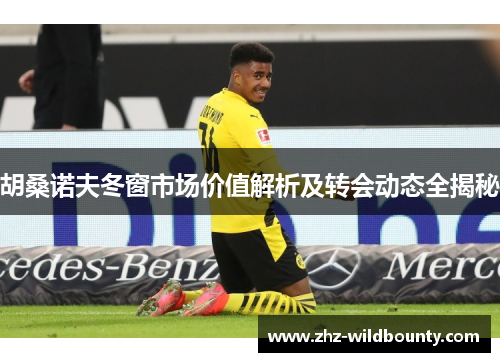 胡桑诺夫冬窗市场价值解析及转会动态全揭秘